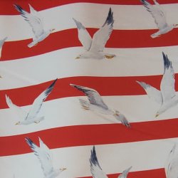 Franch Terry // M�ger