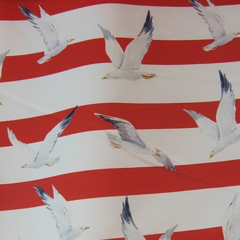 Franch Terry // M�ger