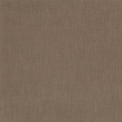 H�r // Camel brun 454