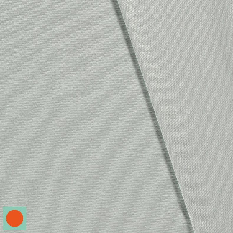 Canvas //  Mint