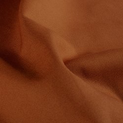 Canvas // Brandt Orange