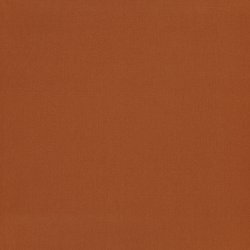 Canvas // Brandt Orange