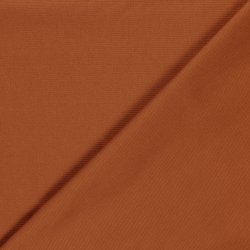 Canvas // Brandt Orange