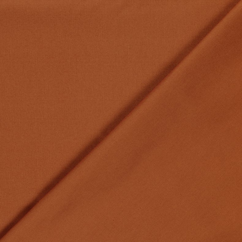 Canvas // Brandt Orange