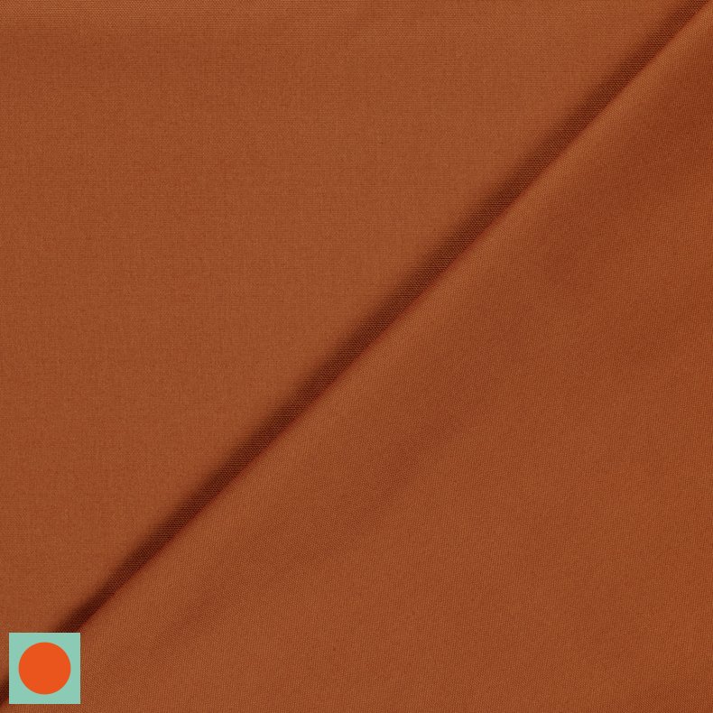 Canvas // Brandt Orange