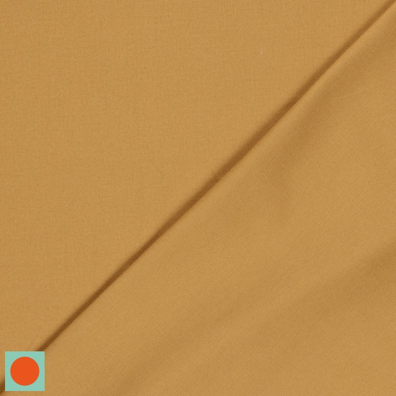 Canvas // Camel