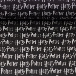 Harry Potter // canvas