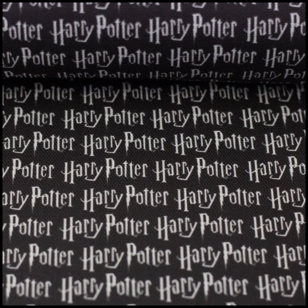 Harry Potter // canvas