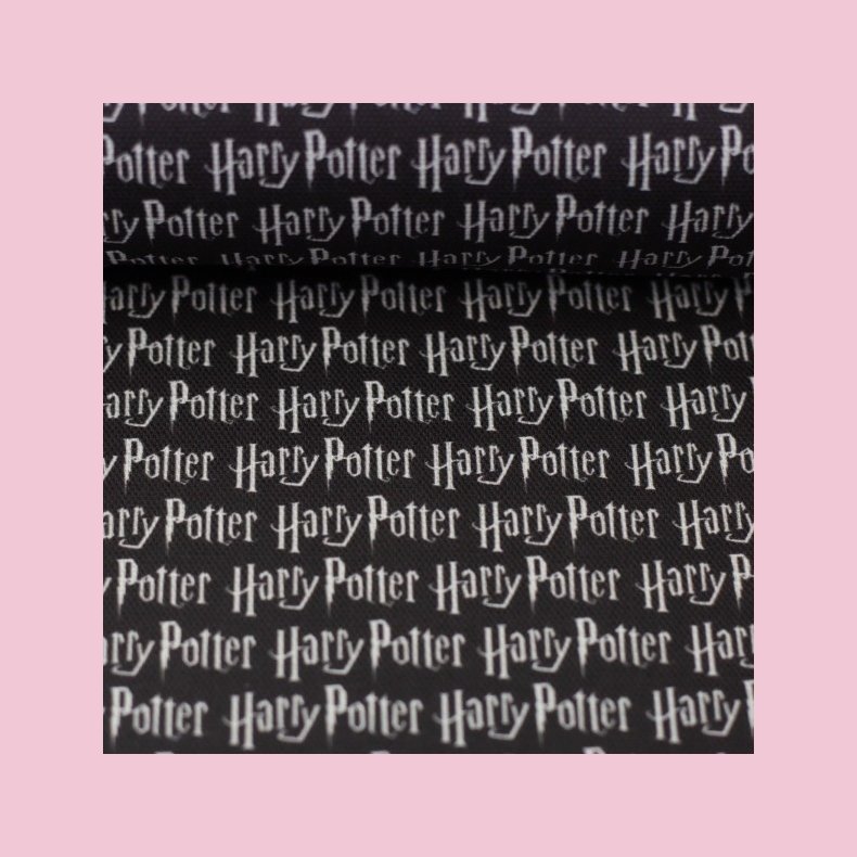 Harry Potter // canvas