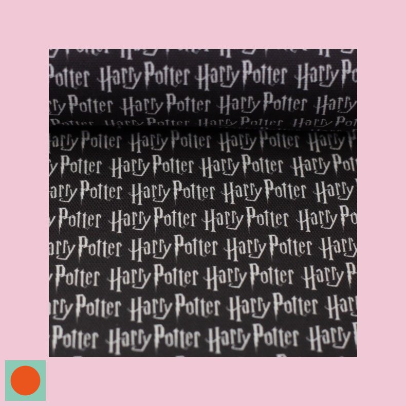 Harry Potter // canvas