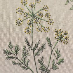 Halv Panama // Urter