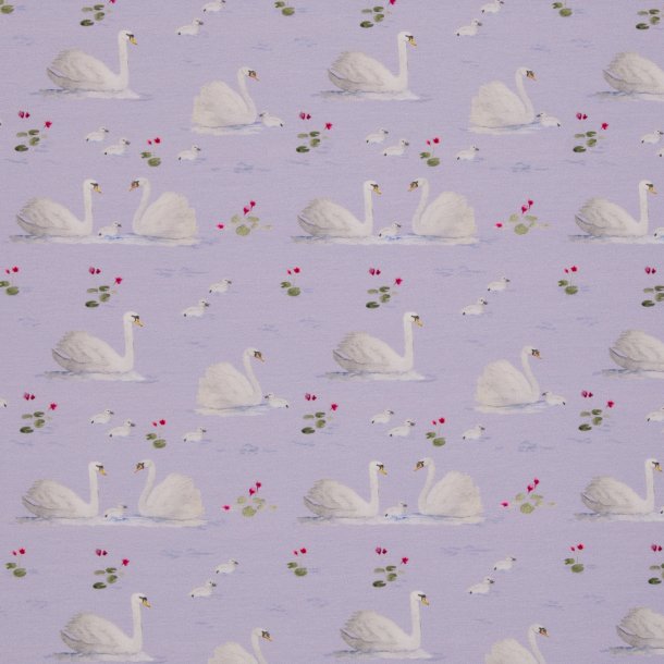 Purple Swan