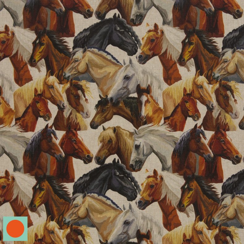 Hr look // Hest