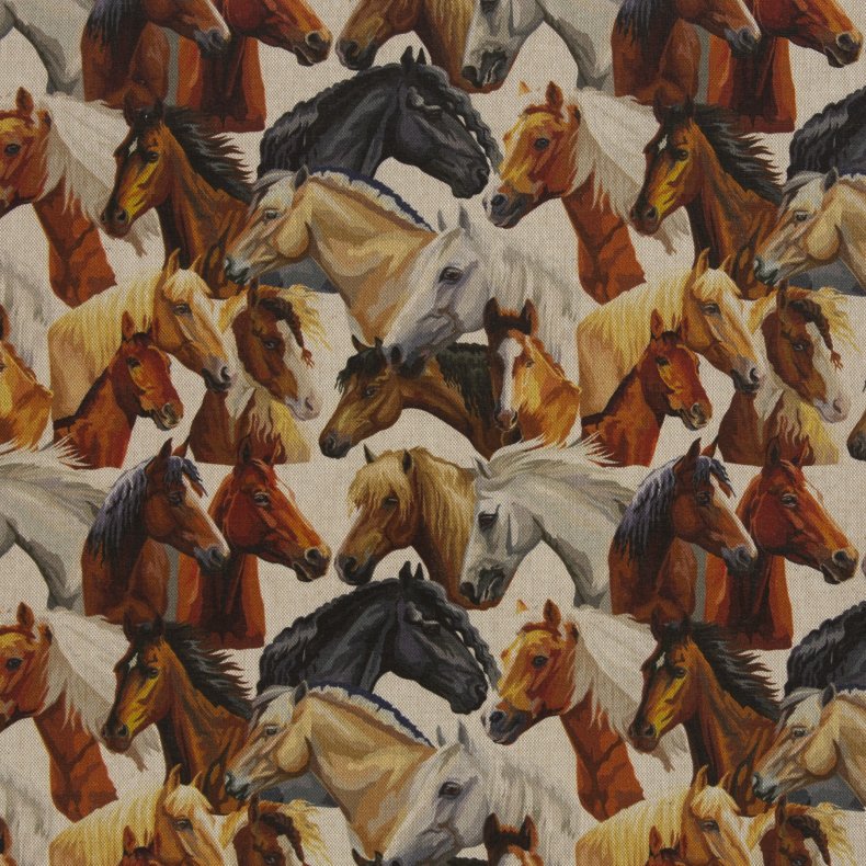 Hr look // Hest