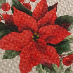 Hrlook // Julestjerne