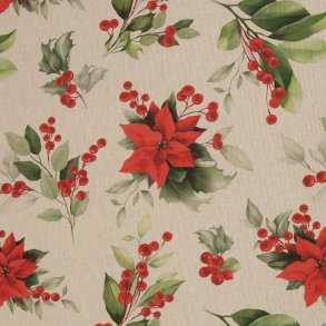 Hrlook // Julestjerne