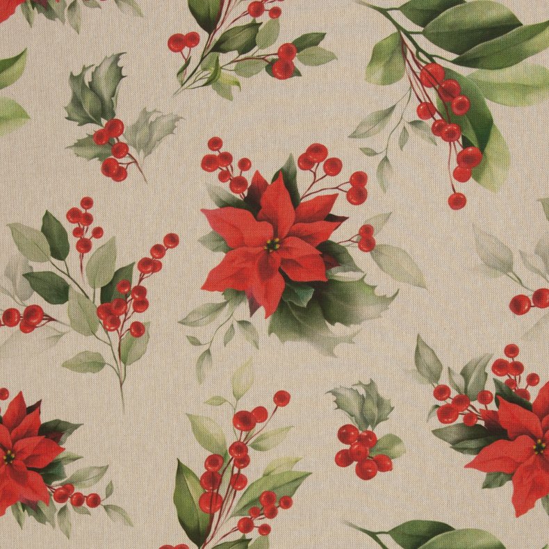 H�rlook // Julestjerne