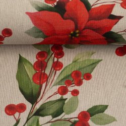 Hrlook // Julestjerne