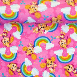 Bomulds Jersey // Paw Patrol Sky