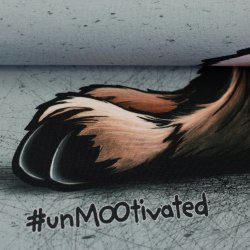 Franch Terry STYKKE // UnMOOtivated