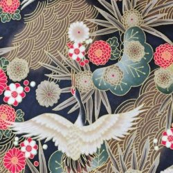 Japansk // Traner brun gr�n