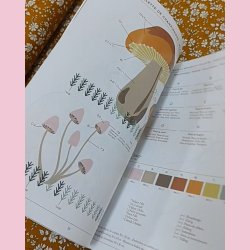 SUSTAINABLE CRAFTS  // DMC Broderi bog