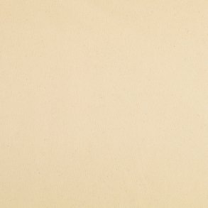 Brndenlbe  // Udehandlet natur