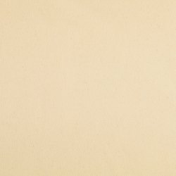 Brndenlbe  // Udehandlet natur