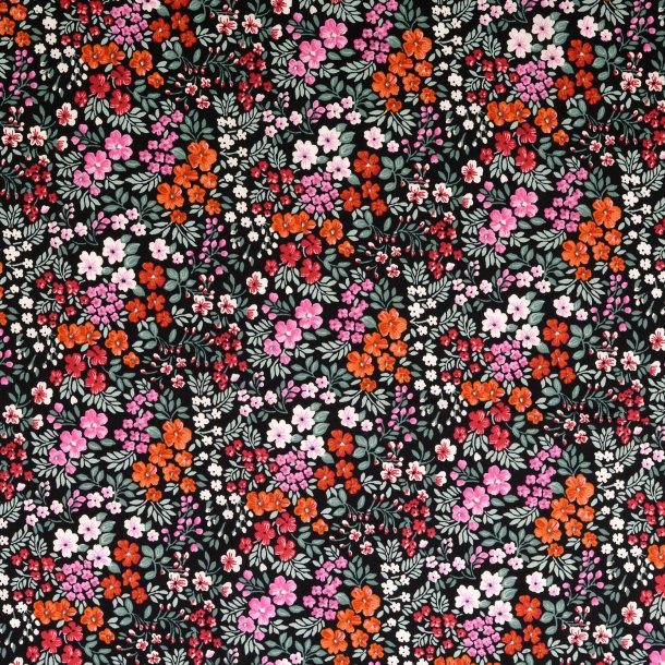 Sketto smull bloom