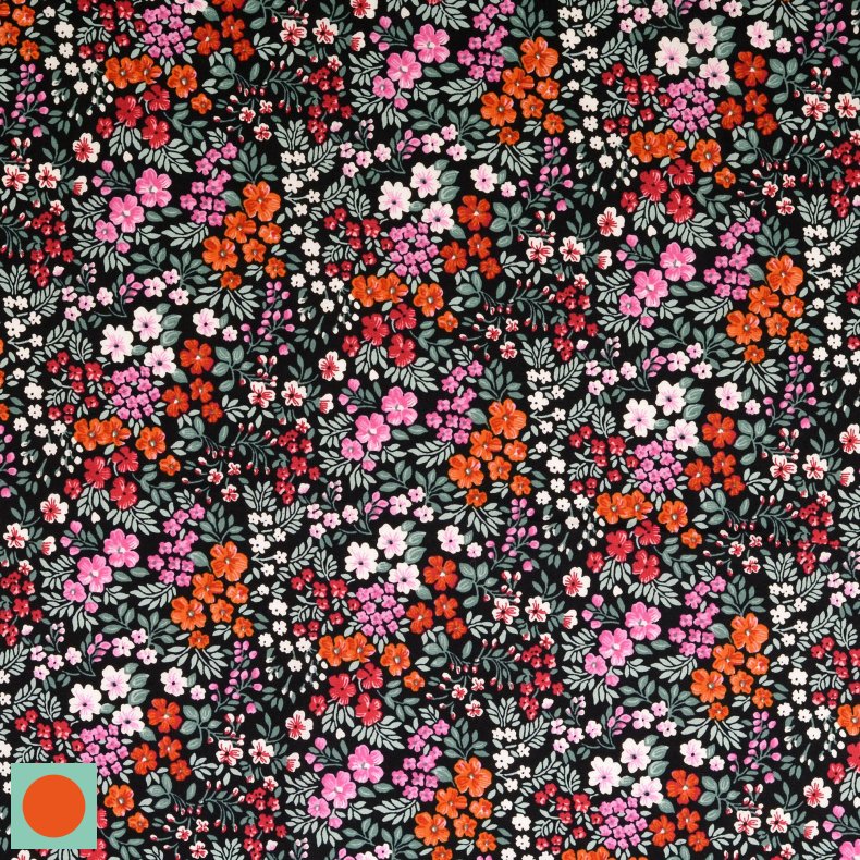 Sketto smull bloom