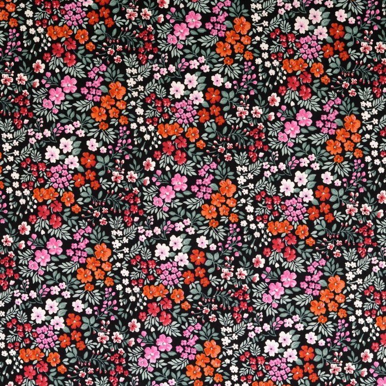 Sketto smull bloom