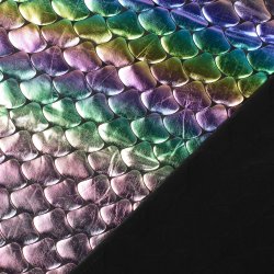 Danse Lycra // Regnbue Havfrue