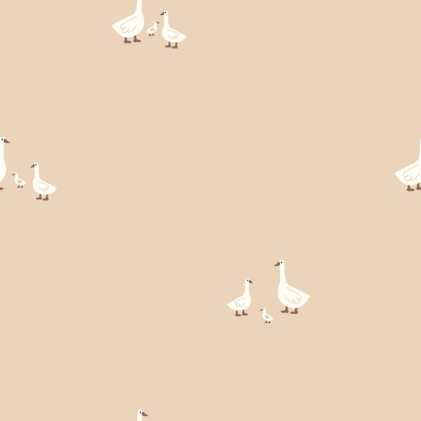 Poplin // Gs