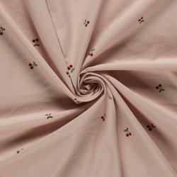 Baby Fl�jl // Rosa Kirsb�r