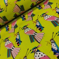 Alexsandre Henry Falcon