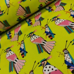 Alexsandre Henry Falcon