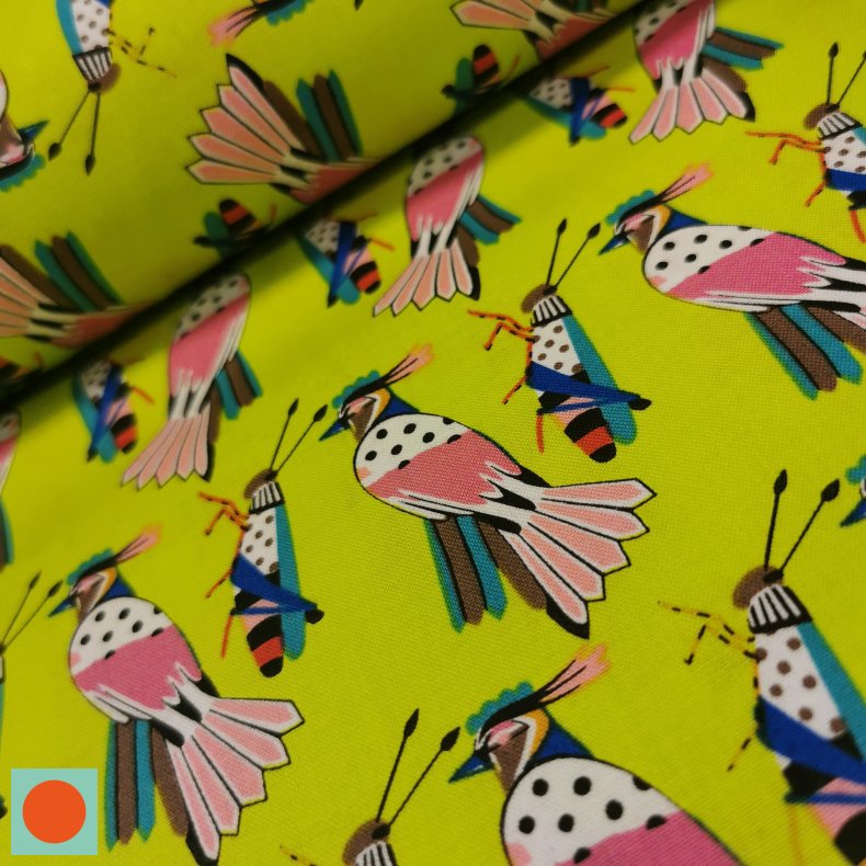 Alexsandre Henry Falcon