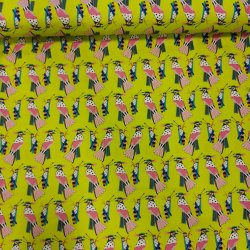 Alexsandre Henry Falcon