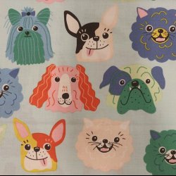 Alexsandre Henry this canine is mine