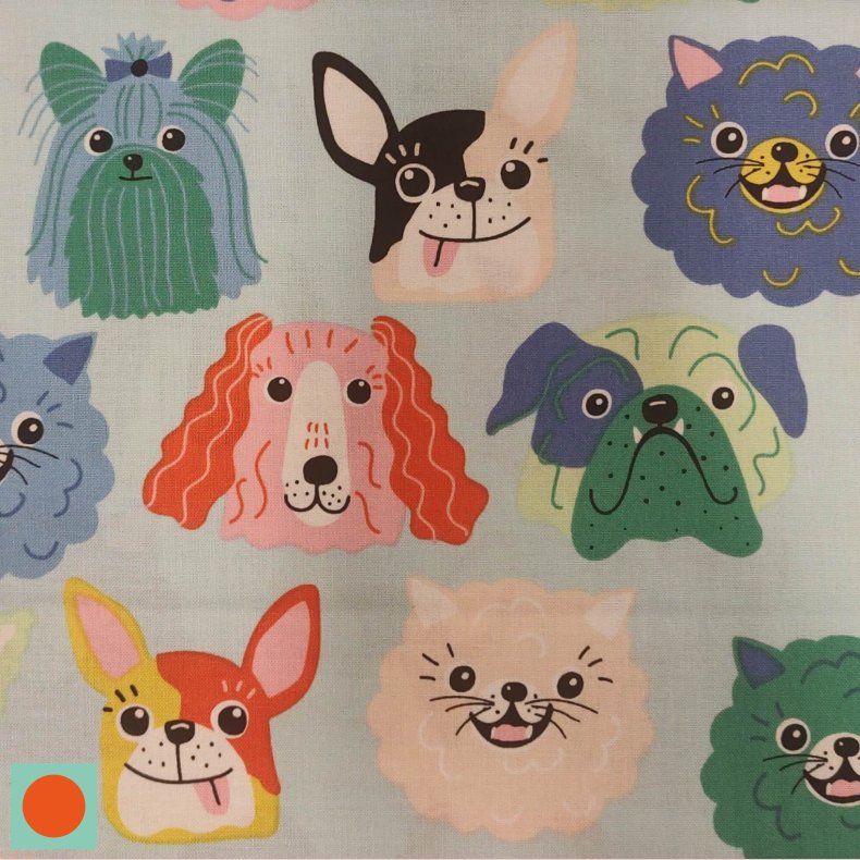 Alexsandre Henry this canine is mine