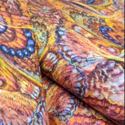 World of Wonder lady