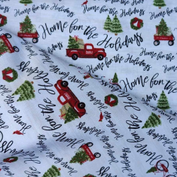 Home for the holidays