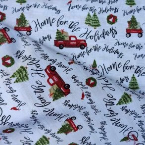 Home for the holidays