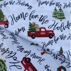 Home for the holidays