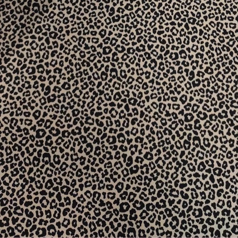 Bomulds Jersey // Mini Leo