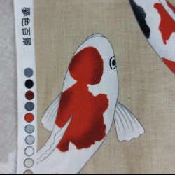 Japansk // Red Carp