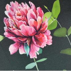 Bomulds Jersey // Wild flowers
