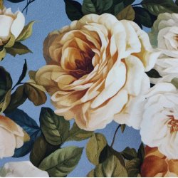 Bomulds Jersey // Himmel Rose