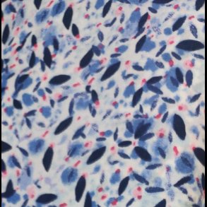 Daisyanne // Liberty - Tana Lawn