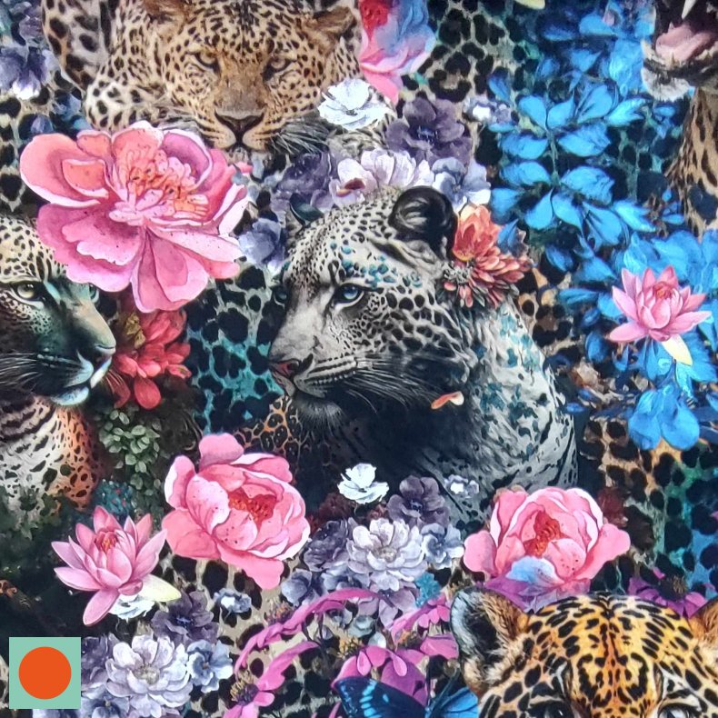 Power Leopard